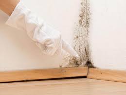 Best Attic Mold Removal  in Stratford, CA